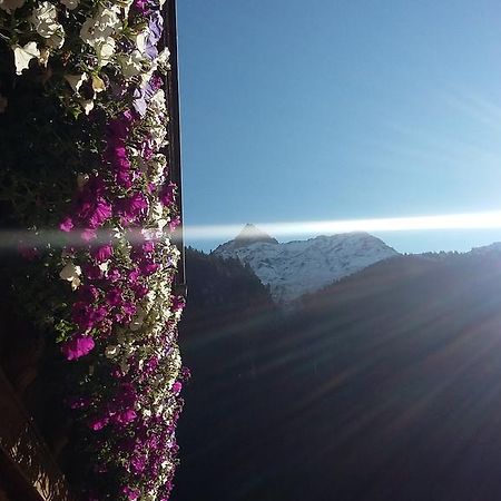 S' Ludwign Haus Apartment Sankt Leonhard im Pitztal Luaran gambar